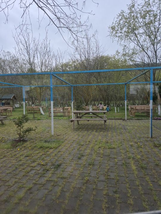 Fotoğraf 46