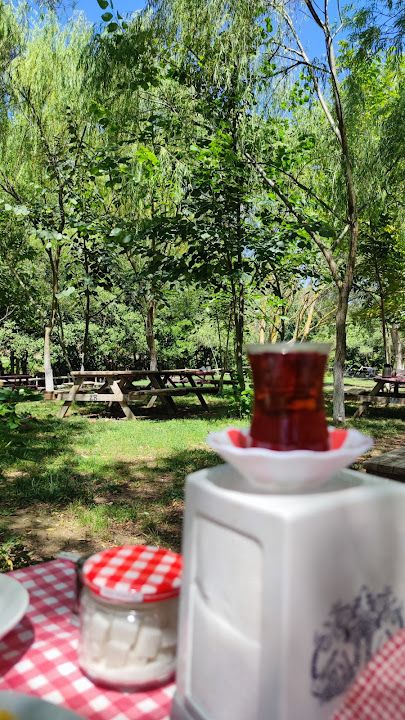 Fotoğraf 45