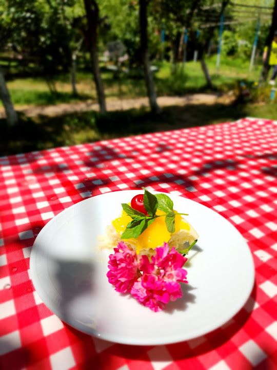 Fotoğraf 37