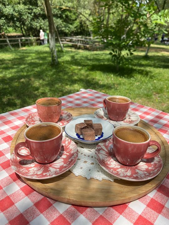 Fotoğraf 48
