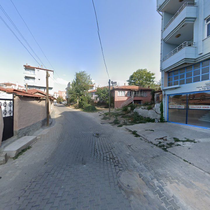 Fotoğraf 5