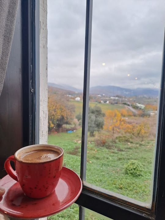 Fotoğraf 40
