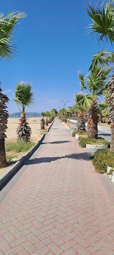 Fotoğraf 12