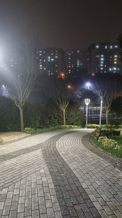 Fotoğraf 27