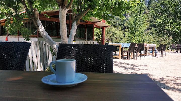 Fotoğraf 15