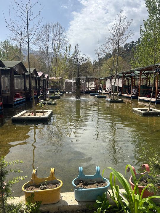 Fotoğraf 12