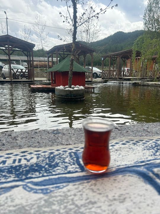 Fotoğraf 15