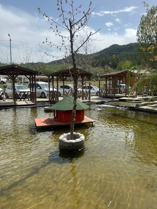 Fotoğraf 13