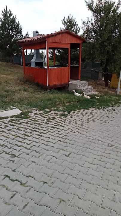 Yorum fotoğrafı 4