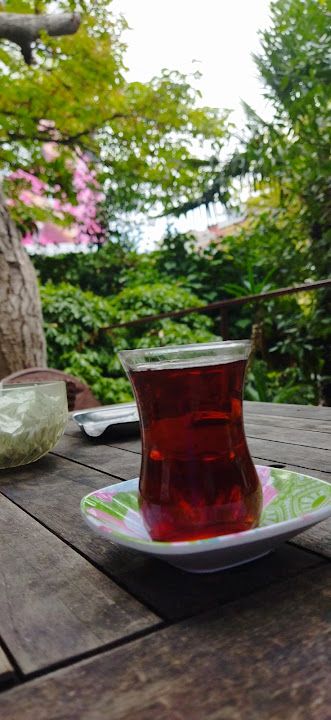 Fotoğraf 14
