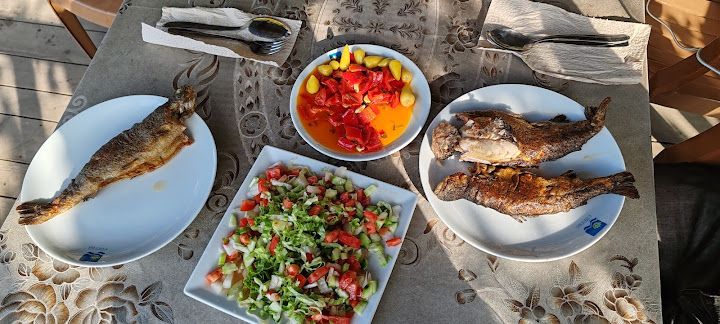 Fotoğraf 21