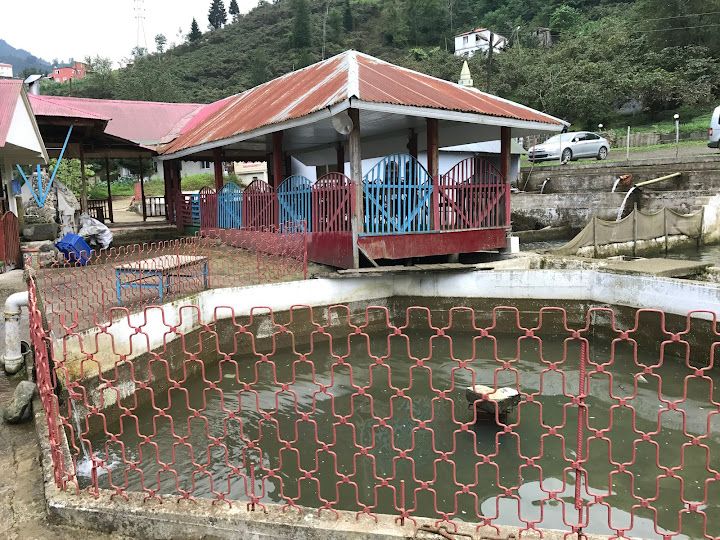 Kopal Alabalık