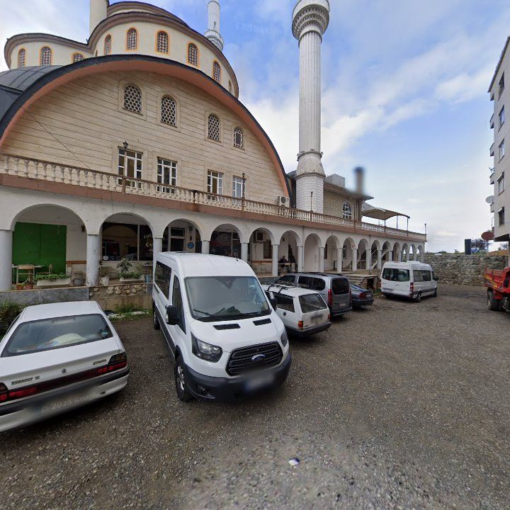 Fotoğraf 5