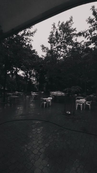 Fotoğraf 13