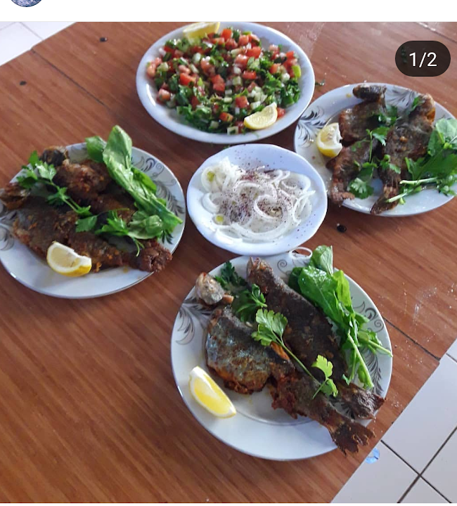 Fotoğraf 10