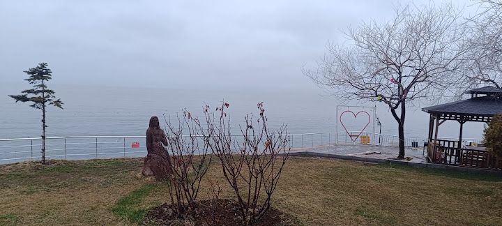 Fotoğraf 15