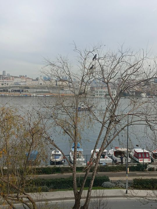 Yorum fotoğrafı 3