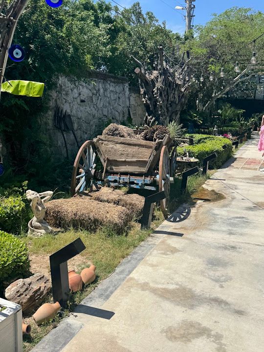 Fotoğraf 18