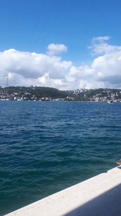 Fotoğraf 41