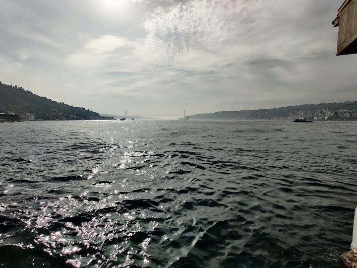 Fotoğraf 46