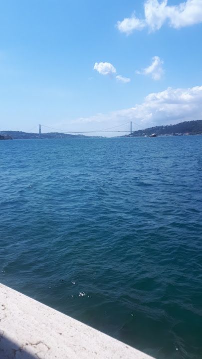 Fotoğraf 42