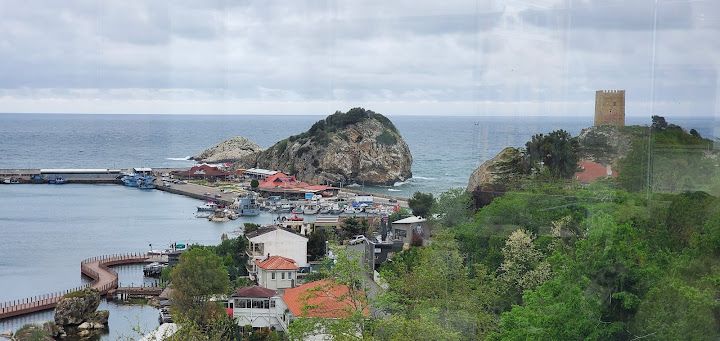 Fotoğraf 26