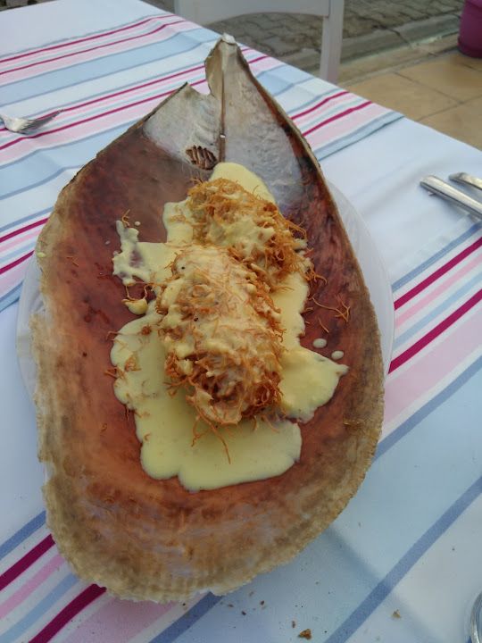 Fotoğraf 19