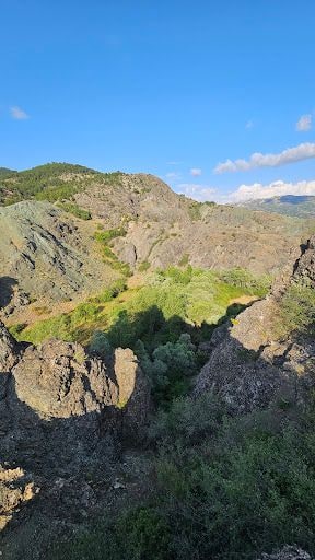 Yorum fotoğrafı 8