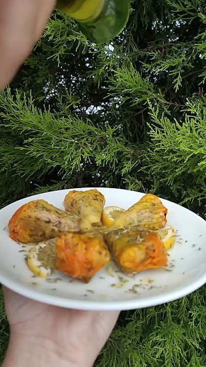 Fotoğraf 24