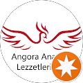 varol kamiloğlu