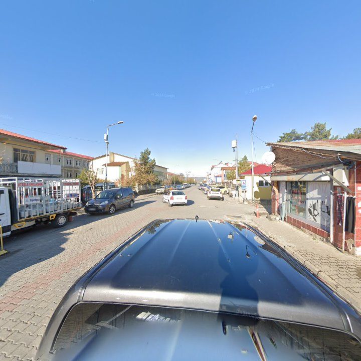 Fotoğraf 10