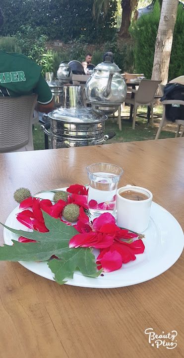Fotoğraf 33
