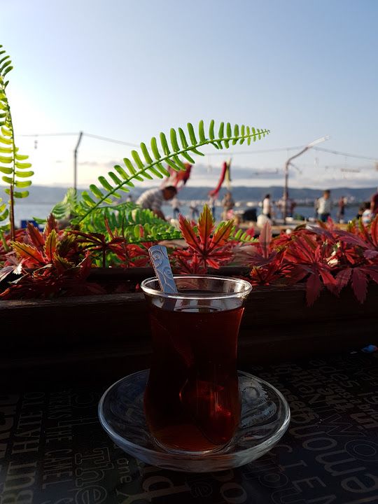 Fotoğraf 18