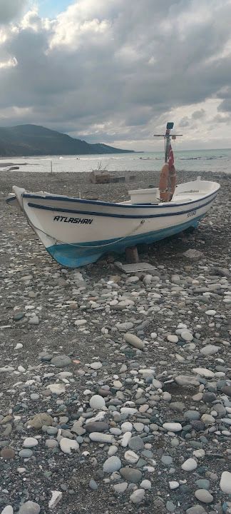 Yorum fotoğrafı 4