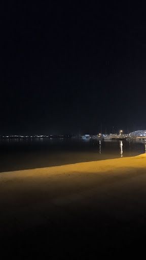 Fotoğraf 12