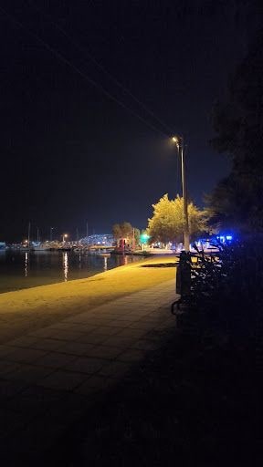 Fotoğraf 13