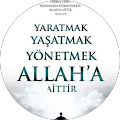 Vedat Akyasan