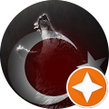 Vedat Erdi