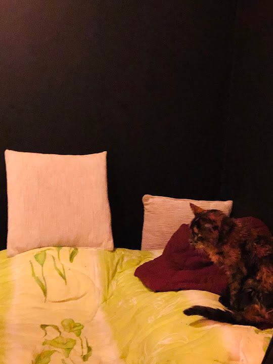 Yorum fotoğrafı 2