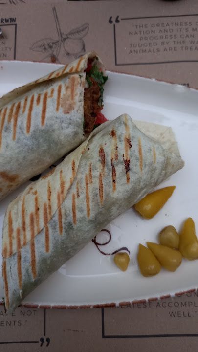 Fotoğraf 24