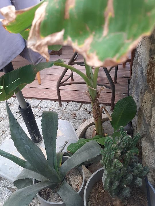 Fotoğraf 17