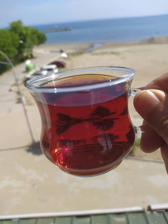 Fotoğraf 29