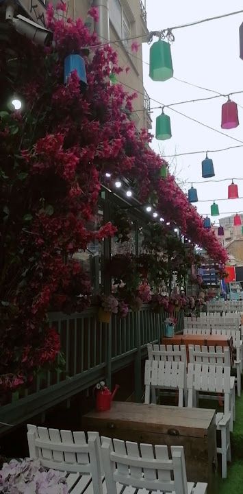 Fotoğraf 79