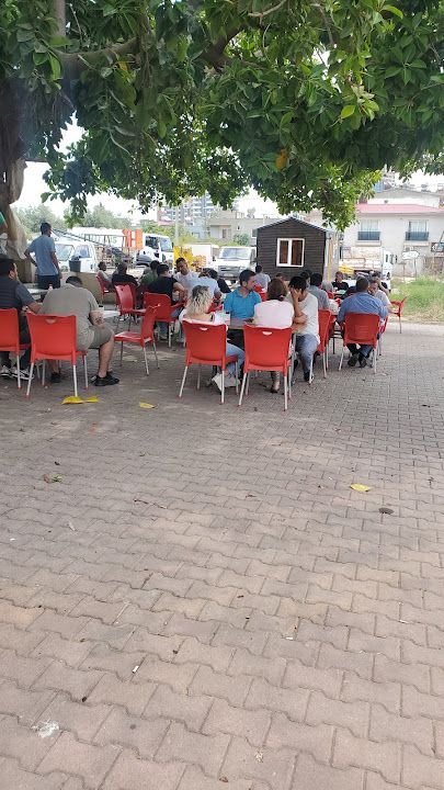 Yorum fotoğrafı 3