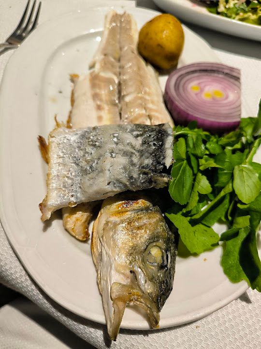 Fotoğraf 31