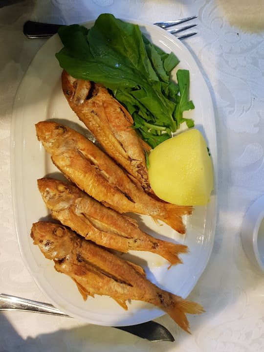 Fotoğraf 39