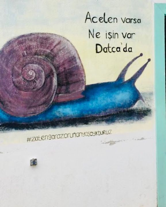Fotoğraf 39
