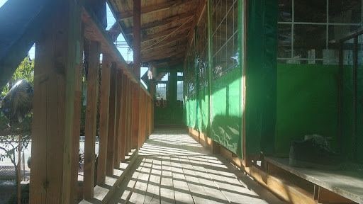 Yorum fotoğrafı 5