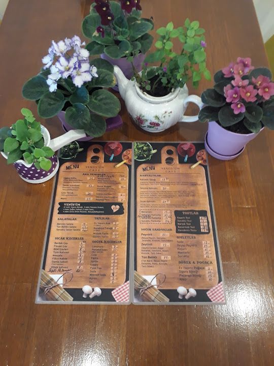 Fotoğraf 14
