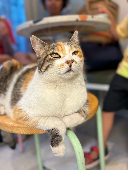 Yorum fotoğrafı 2